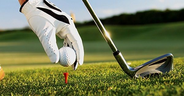 mua bo golf my
